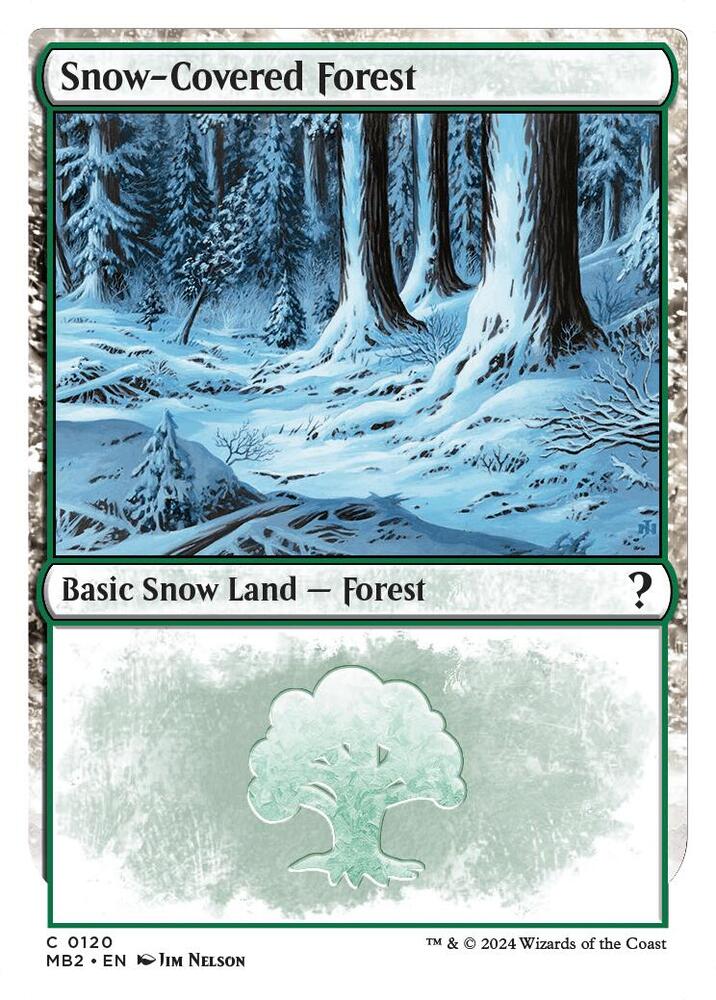 Snow-Covered Forest (White Border) [Mystery Booster 2] (Display Case)