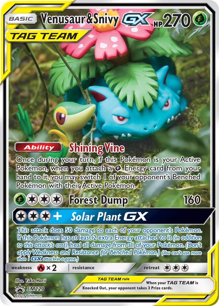 Venusaur & Snivy GX (SM229) [Sun & Moon: Black Star Promos] (Display Case)